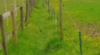 12th-May-Belbroughton