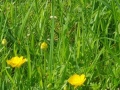 20240512_123814_resized