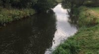 18th-Aug-Wolseley-&-Trent-Valley
