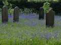 IMG-20240506-WA0001