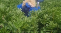 9th Jun Shenstone Training